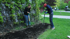 May 14th Garden Work Day: Planting the UTSU Equity Gardens