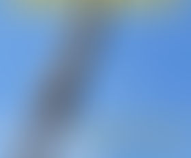 We’re Reading: “Radical Homemakers”