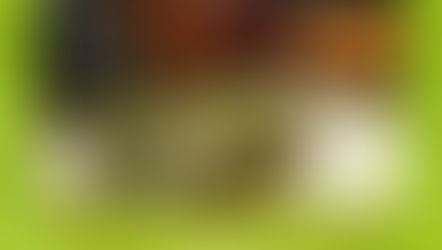 Urban Chicken Keeping Workshop