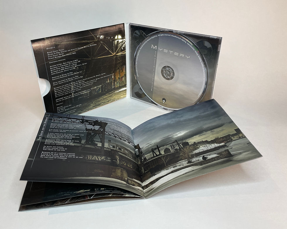 Miniature : MYSTERY - Beneath the Veil of Winter's Face