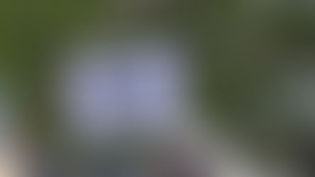 Volksgesundheit – Ein Rückblick auf sechs Monate Coronademonstrationen in Berlin