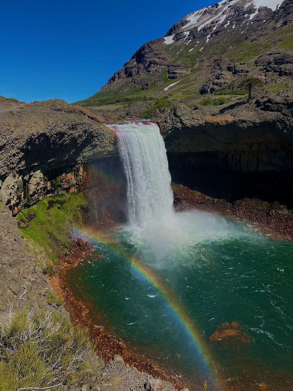 Llega a Neuquén la 2ª Convención de Empresarios Jóvenes en Turismo - FAEVYT