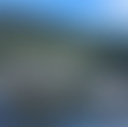 Ya se vive con todo la Fiesta Provincial del Lago y las Araucarias en Villa Pehuenia Moquehue