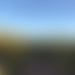 Rincón, tierra de olivares y almendras