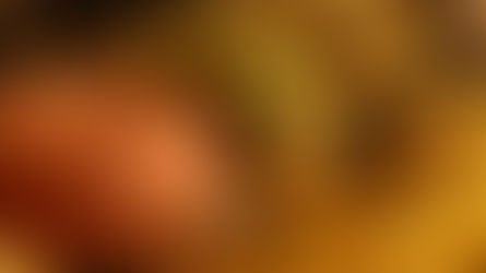 ¡Empezó la Semana de la Hamburguesa 2025 en Neuquén!