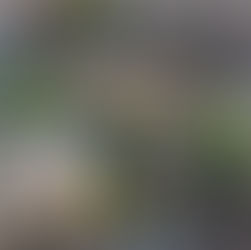 En San Martín de los Andes, Las Cumbres Apart, ofrece relax y conexión con la naturaleza