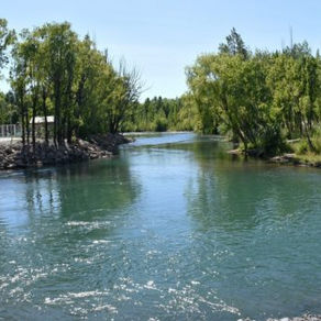 Conocé estas 8 áreas protegidas de Neuquén para reconectar con la naturaleza sin salir de la ciudad