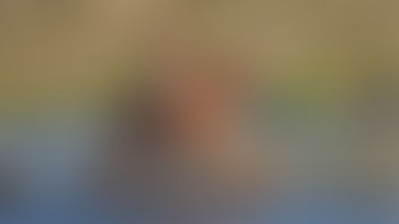 Arreos neuquinos: una cultura milenaria del norte neuquino