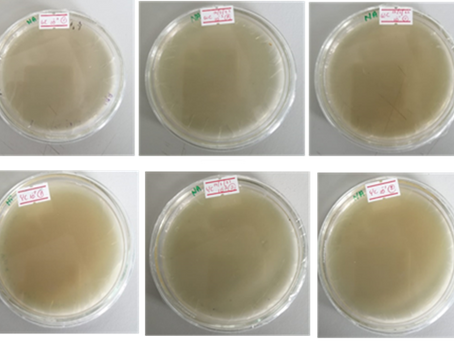 Evaluation of formulated Clay face mask
