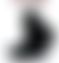 La TRILOGIA DEL MAGO NEROdi Trudi Canavan