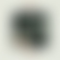 Review: "The Motive" - Dolder