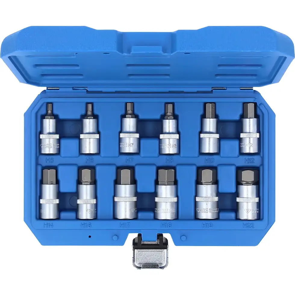 Brilliant-Tools 12-tlg 5 - 22 mm 1/2" Innensechskant Bit-Stecknuss-Satz
