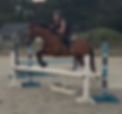 image1 (4).jpeg