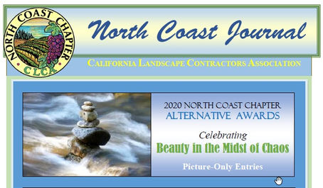 July 2020, Newsletter