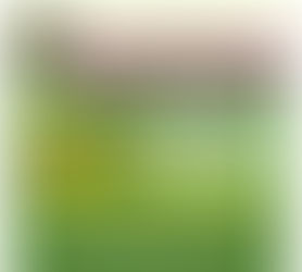 NCC February Journal