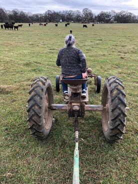 Mahon Ranch - Cindy Mahon Feeding Cows and Calves.jpeg
