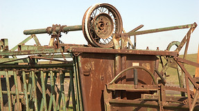 Rusty squeeze shoot