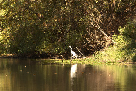 Mahon Ranch - WIldlife Walking Tour.CR2