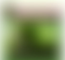 May, 2022 North Coast Chapter Newsletter