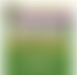 March North Coast Journal & Award Application