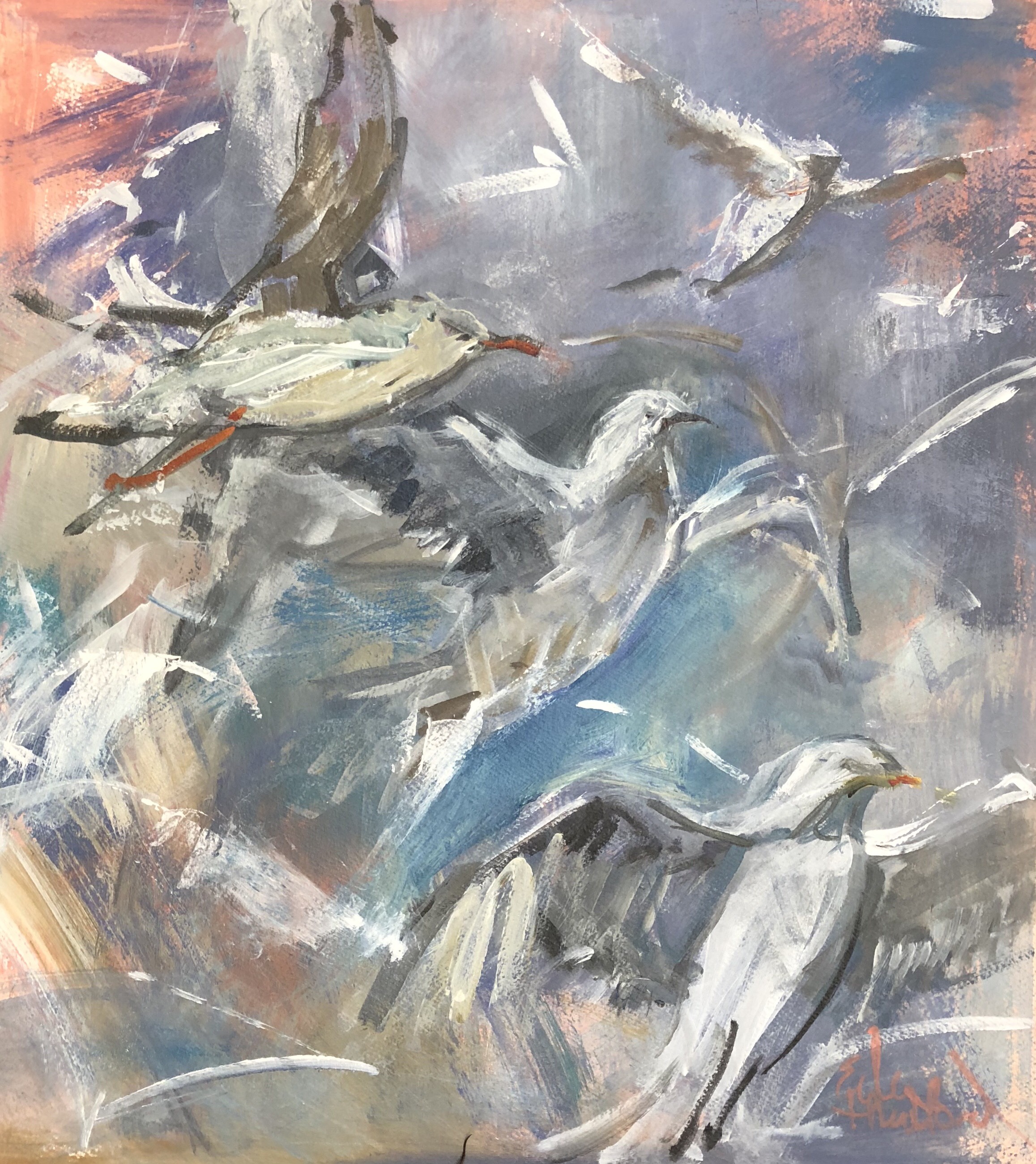 Gull Chatter