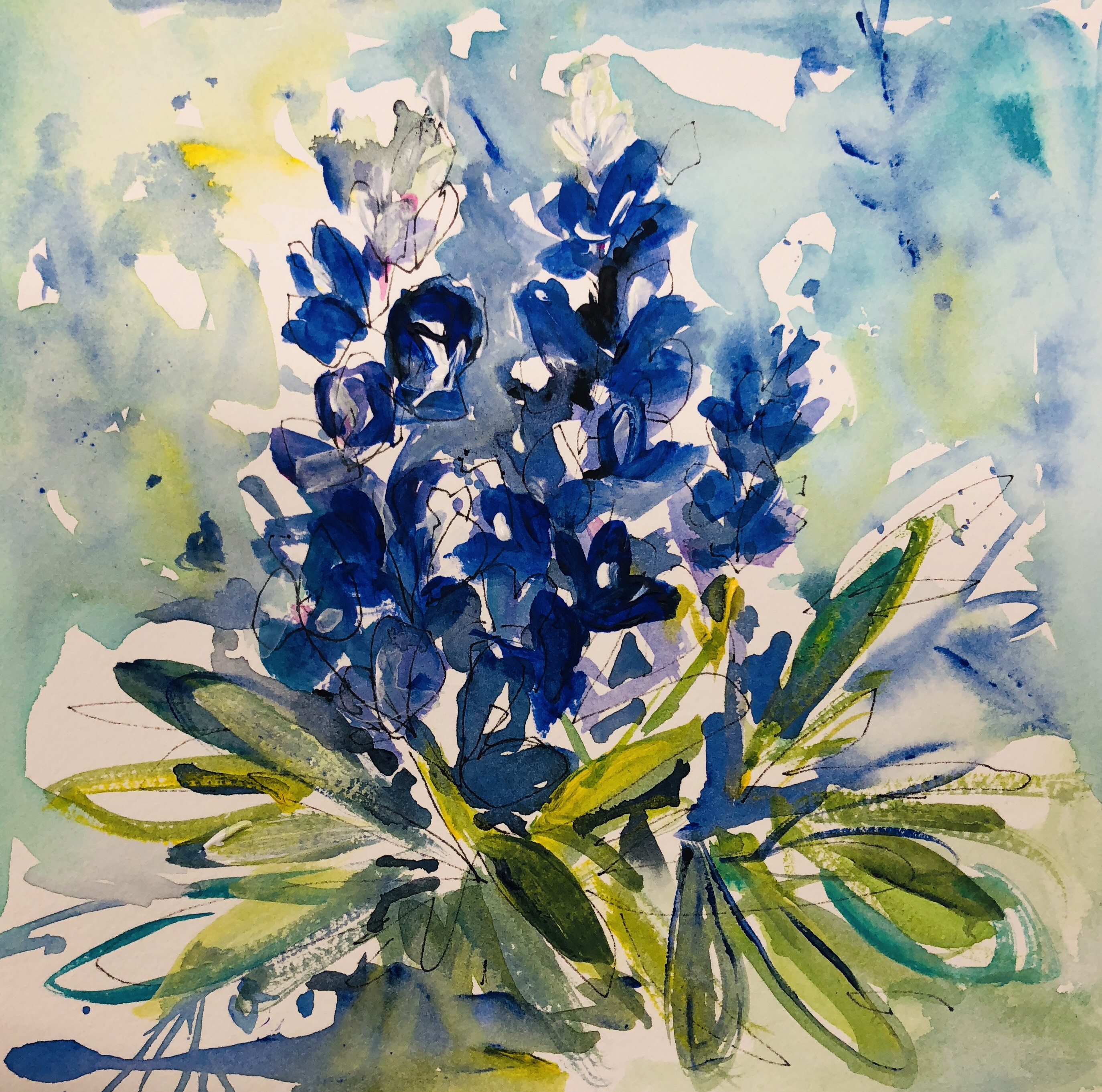Bluebonnets