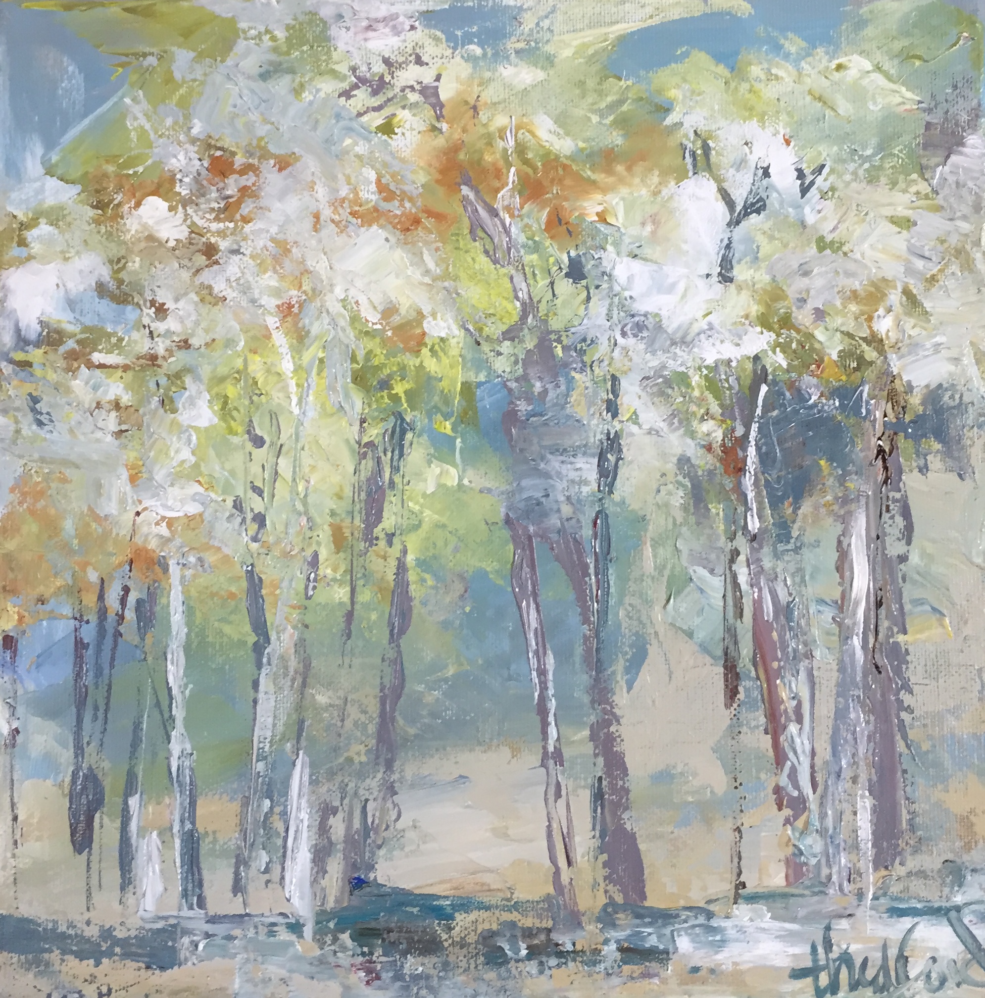 October Aspens