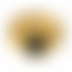 シグネットリングと石（ストーン）の素晴らしき融合