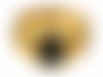 シグネットリングと石(ストーン)の素晴らしき融合