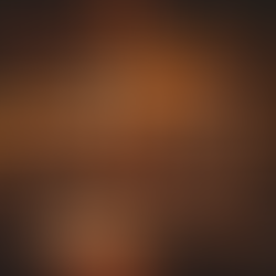 知られざるスピークイージーの歴史とは