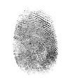 fingerprint isolated on white.jpg