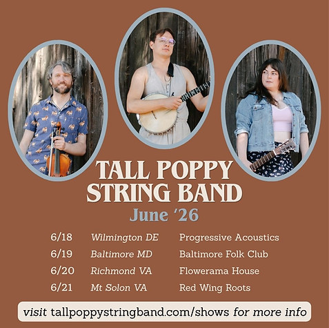 TALL POPPY STRING BAND (1).jpg