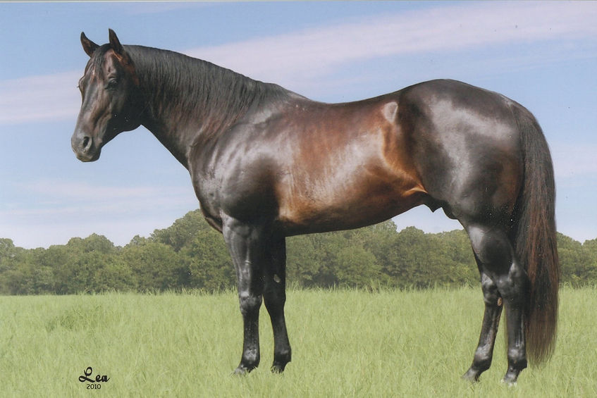 Rideadarkhorse_edited.jpg