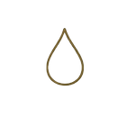 Untitled design-9 Background Removed.png
