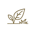 Untitled design-4 Background Removed.png