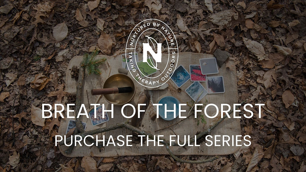 [FULL SERIES] Breath of the Forest: A Mindfulness in Nature Series
