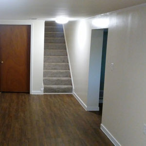  Full Basement Remodel