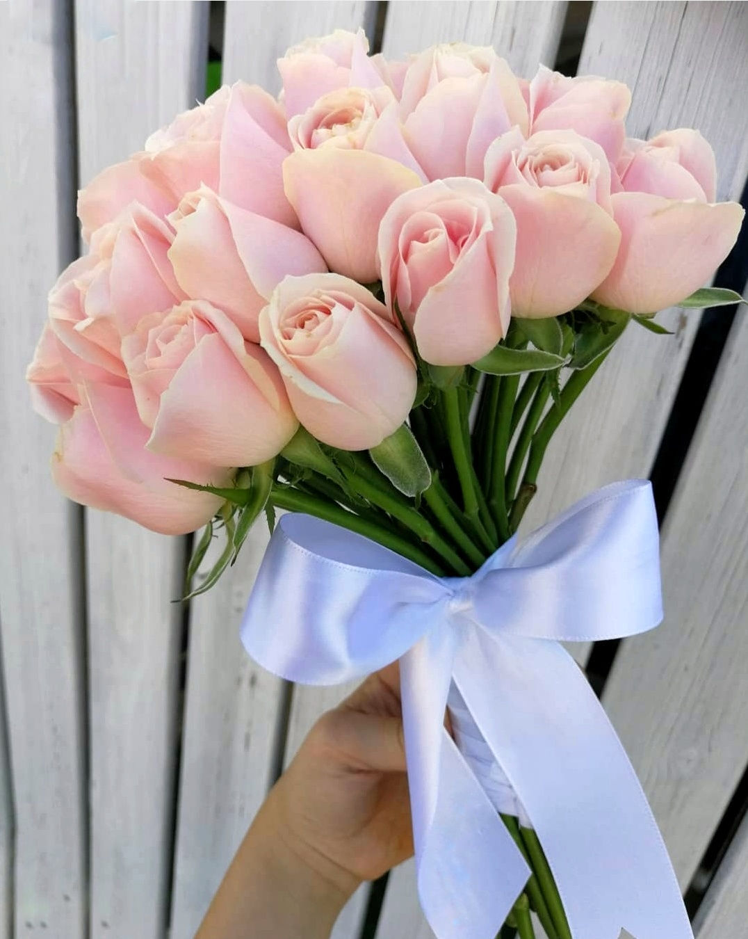 הנך יפה רעייתי