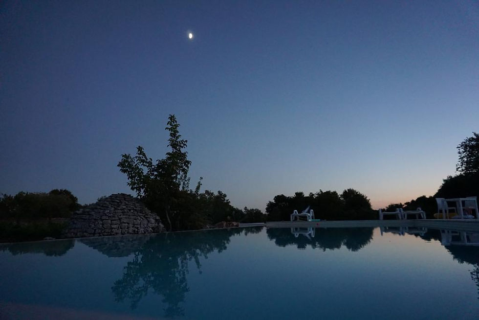 WhatsApp Image 2023-01-10 at 09.12.34.jpeg