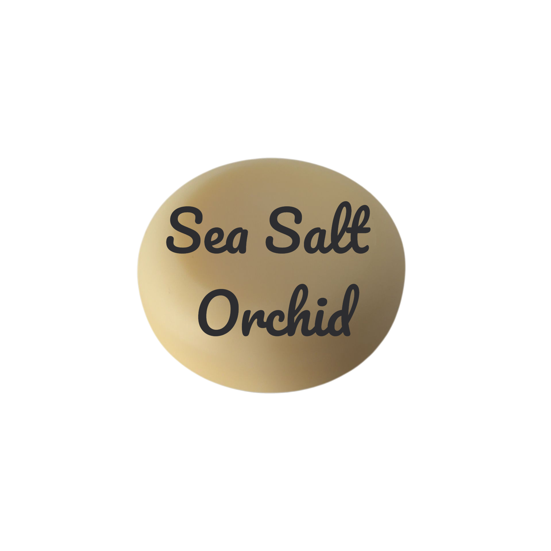 Sea Salt Orchid Solid Lotion