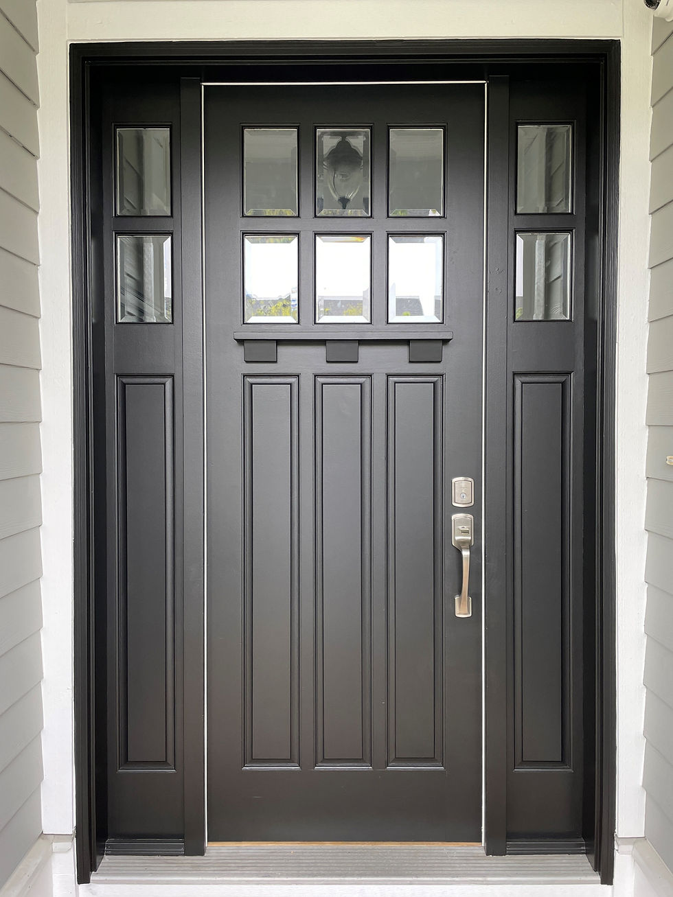 entrance front door painting