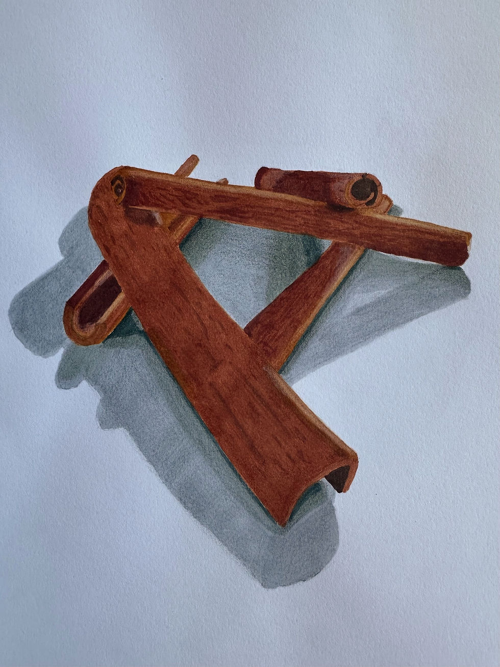 'Stacked Cinnamon' in Alcohol Marker & Coloured Pencils