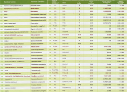 Semillas forestales Y ornamentales 5