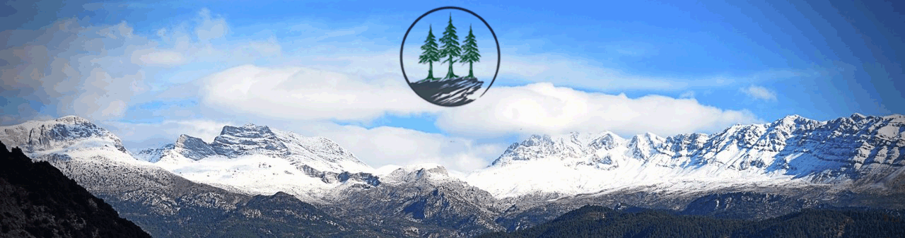 Tristeno logo vouno.gif