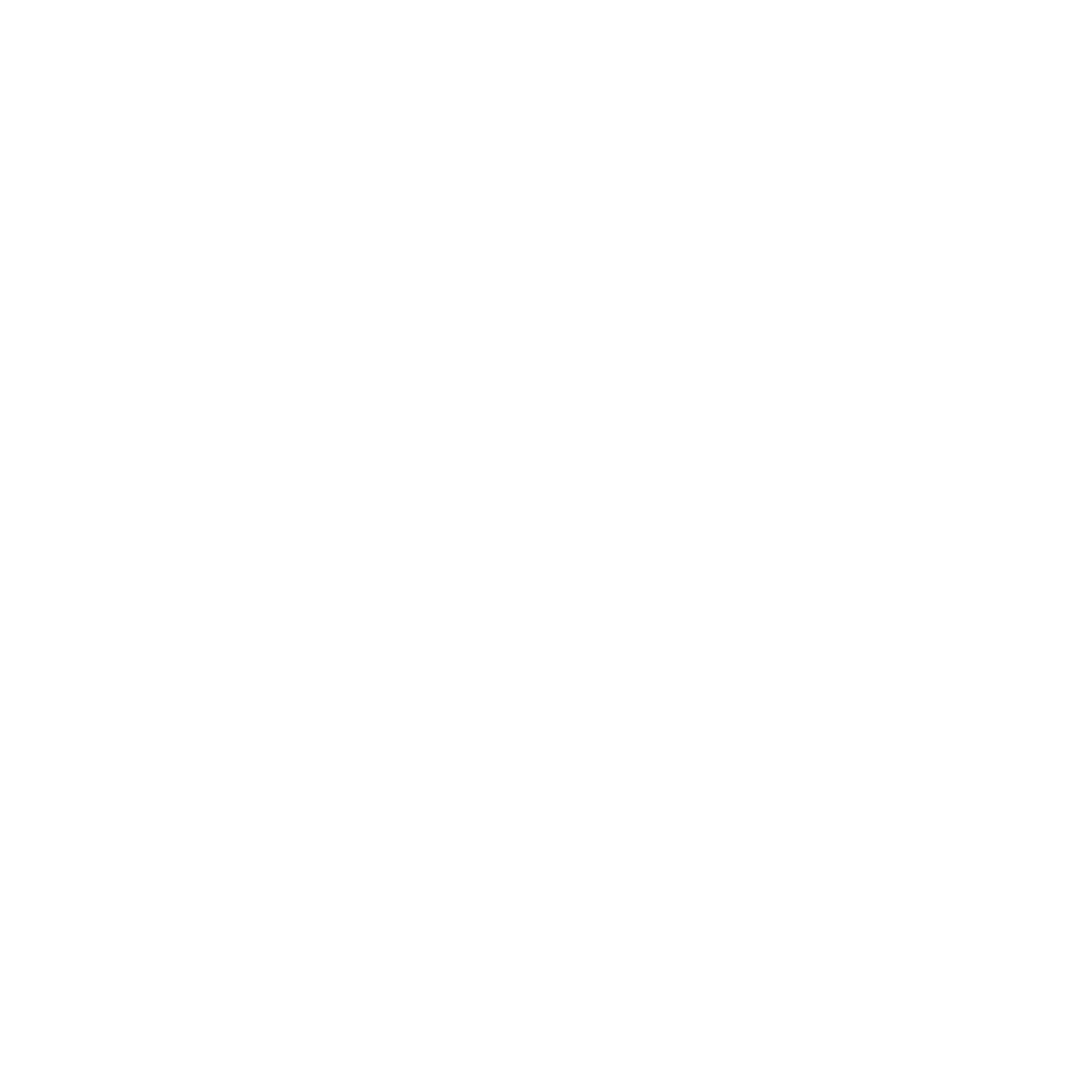 sigla_citconveyors_white.png