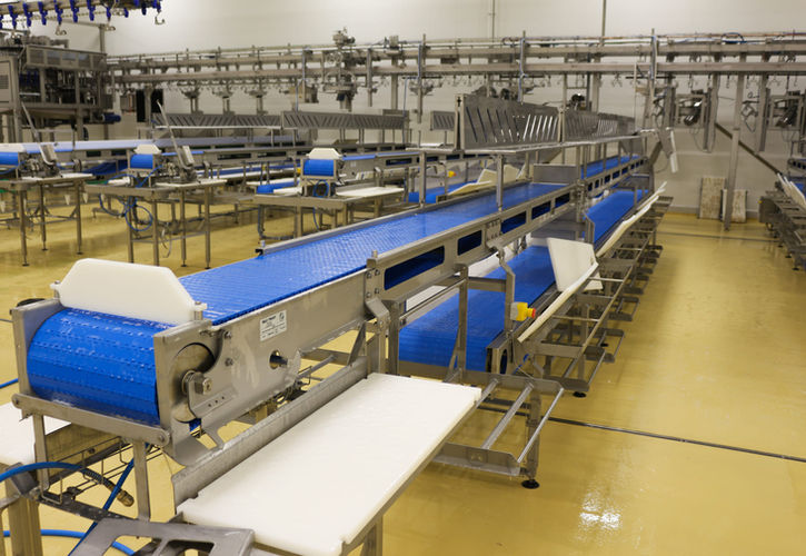Linie procesare carne pui - Conveioare industria alimentara
