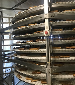 Conveioare tip spirala - Panificatie - brutarie -  industria alimenatra