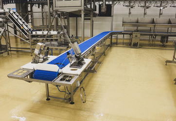 Sistem de conveioare procesare carne pui - Conveioare industria alimentara - SELF TRUST Romania