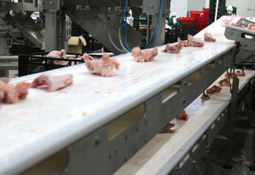 Linie procesare carne - Sistem conveioare industria alimentara - Abatorizare - SELF TRUST