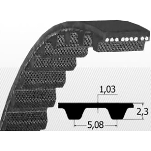 Curea dintata - Tip XL
